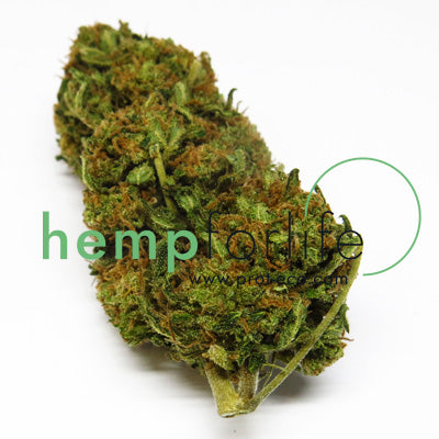 flor cbd cannabis outdoor