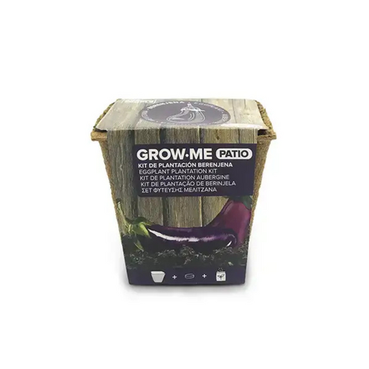 kit de cultivo berenjena larga negra grow me kitchen maceta biodegradable