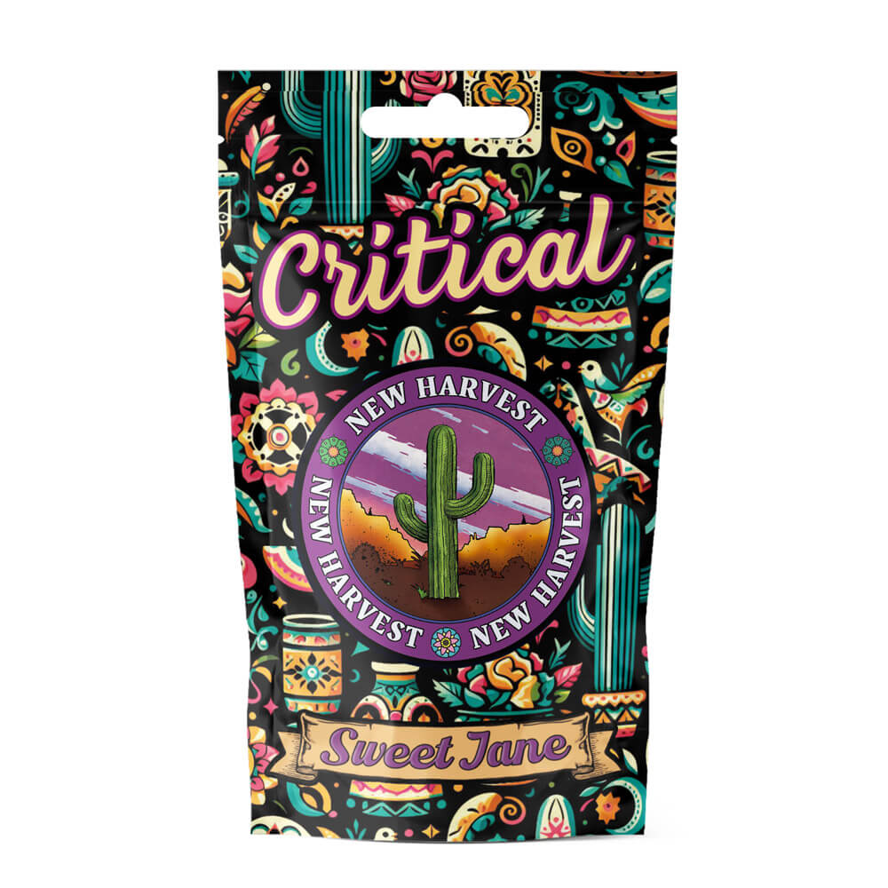 Flores de cáñamo industrial Sweet Jane Critical con tonos verdes y resina natural