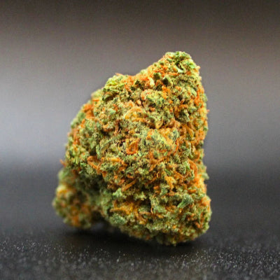 la-catalana-cbd-glasshouse
