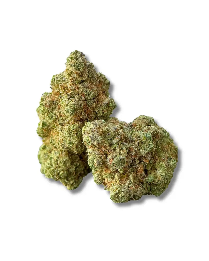 Cogollos Critical+ Indoor CBD Santa Cali, flor CBD compacta, resinosa y aromática