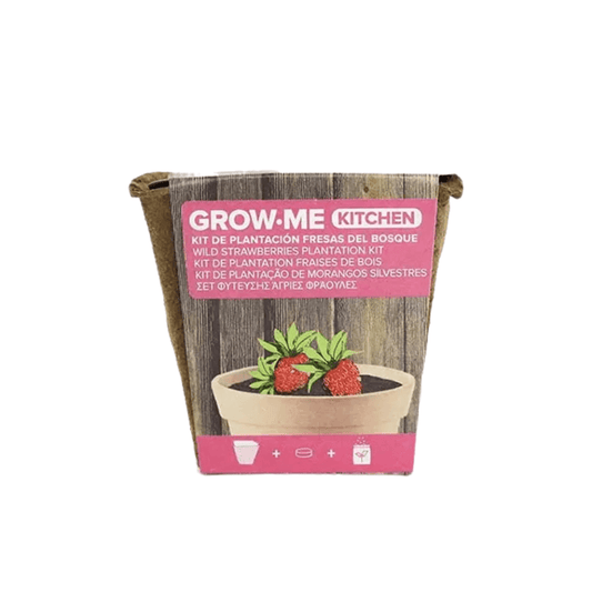 kit de cultivo fresas del bosque grow me maceta biodegradable