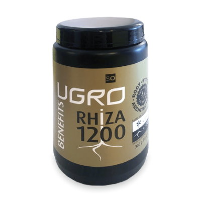 Microrriza para acelerar el crecimiento y el desarrollo de la planta de cannabis y CBD.