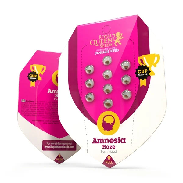 semillas amnesia haze feminizada royal queen seeds