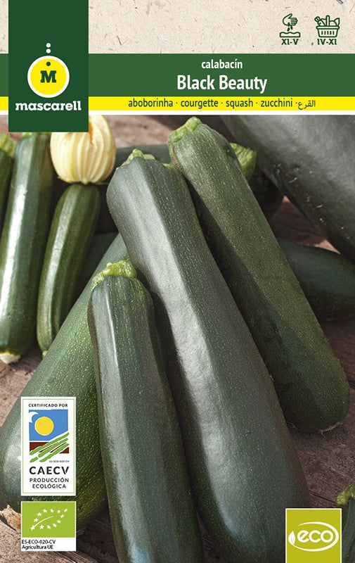 calabacin semillas