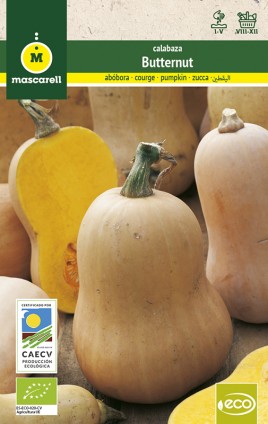 calabaza semillas