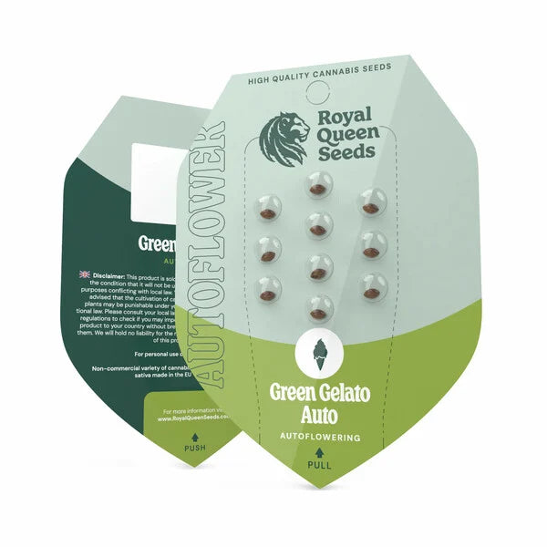 semillas green gelato auto royal queen