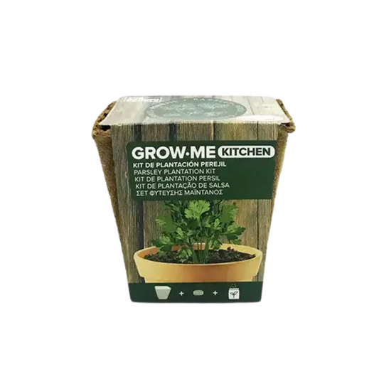 kit de cultivo perejil grow me perejil maceta biodegradable