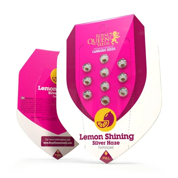 semillas lemon shining silver haze royal queen seeds
