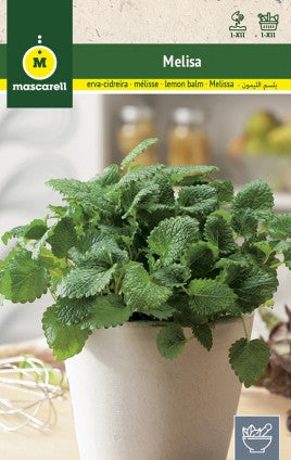 semillas melisa planta