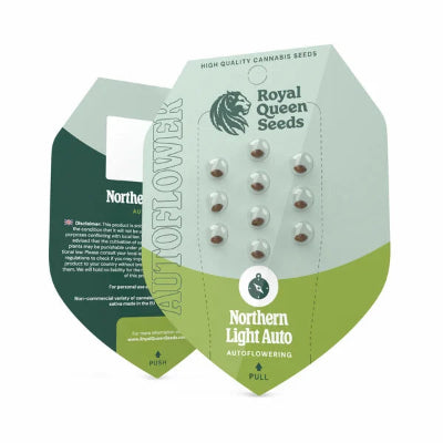 semillas northern ligth auto royal queen