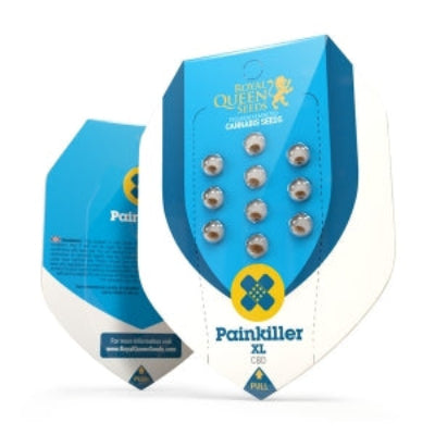 semillas CBD painkiller xl royal queen