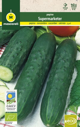 semillas pepino