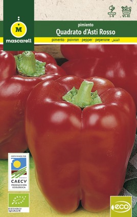 semilla pimiento cuadrado