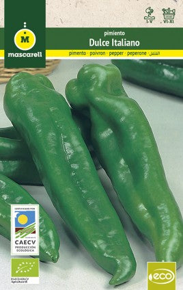 pimiento dulce semillas