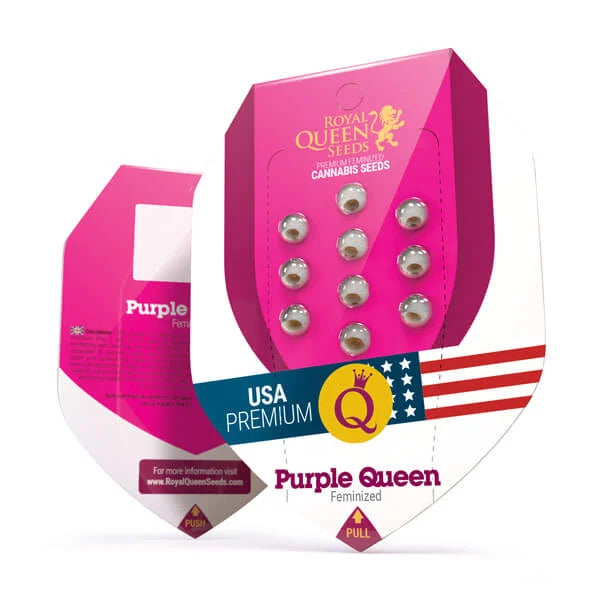 semillas purple queen royal queen seeds