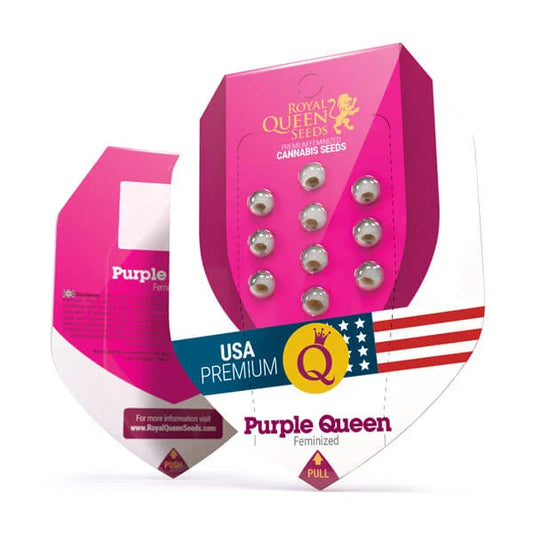 semillas purple queen royal queen seeds