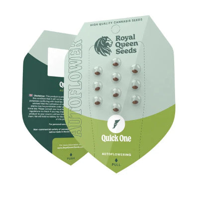 semillas autos quick one royal queen