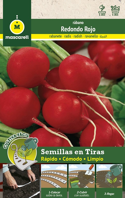 semillas rabanito rojo