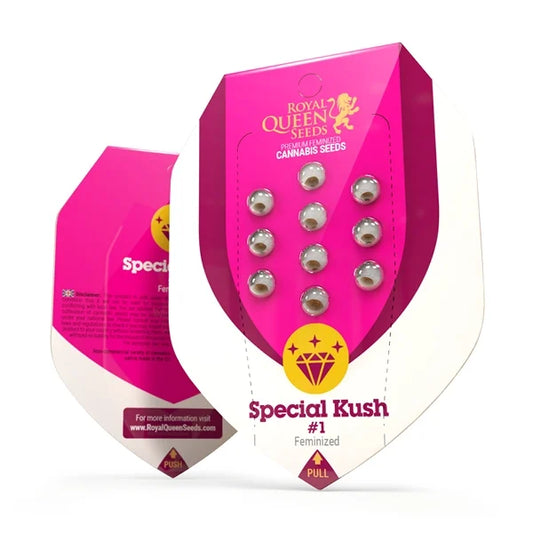 semillas special kush royal queen seeds