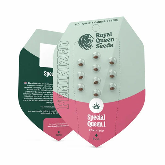 semillas special queen 1 feminizada de royal queen seeds