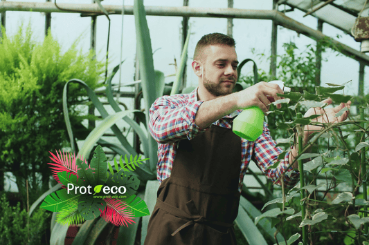 Plagas de finales de verano en plantas: cómo tratarlas | Prot-eco