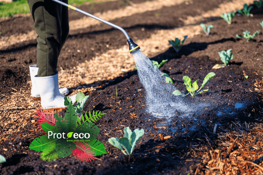 Cómo preparar tu huerto y jardín para el otoño: guía práctica de siembra y abonado
