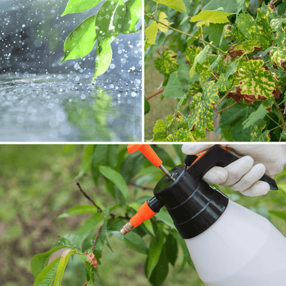 🌿 Equiprot PROT-ECO / Fortificante ecológico y protección frente al estrés climático