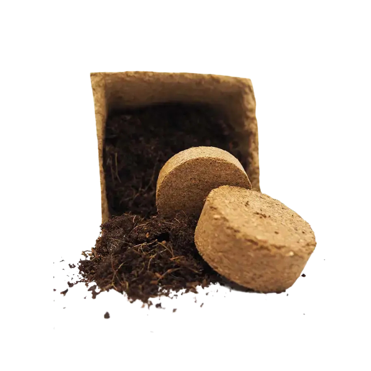 disco de coco y semillas fresas del bosque kit grow me