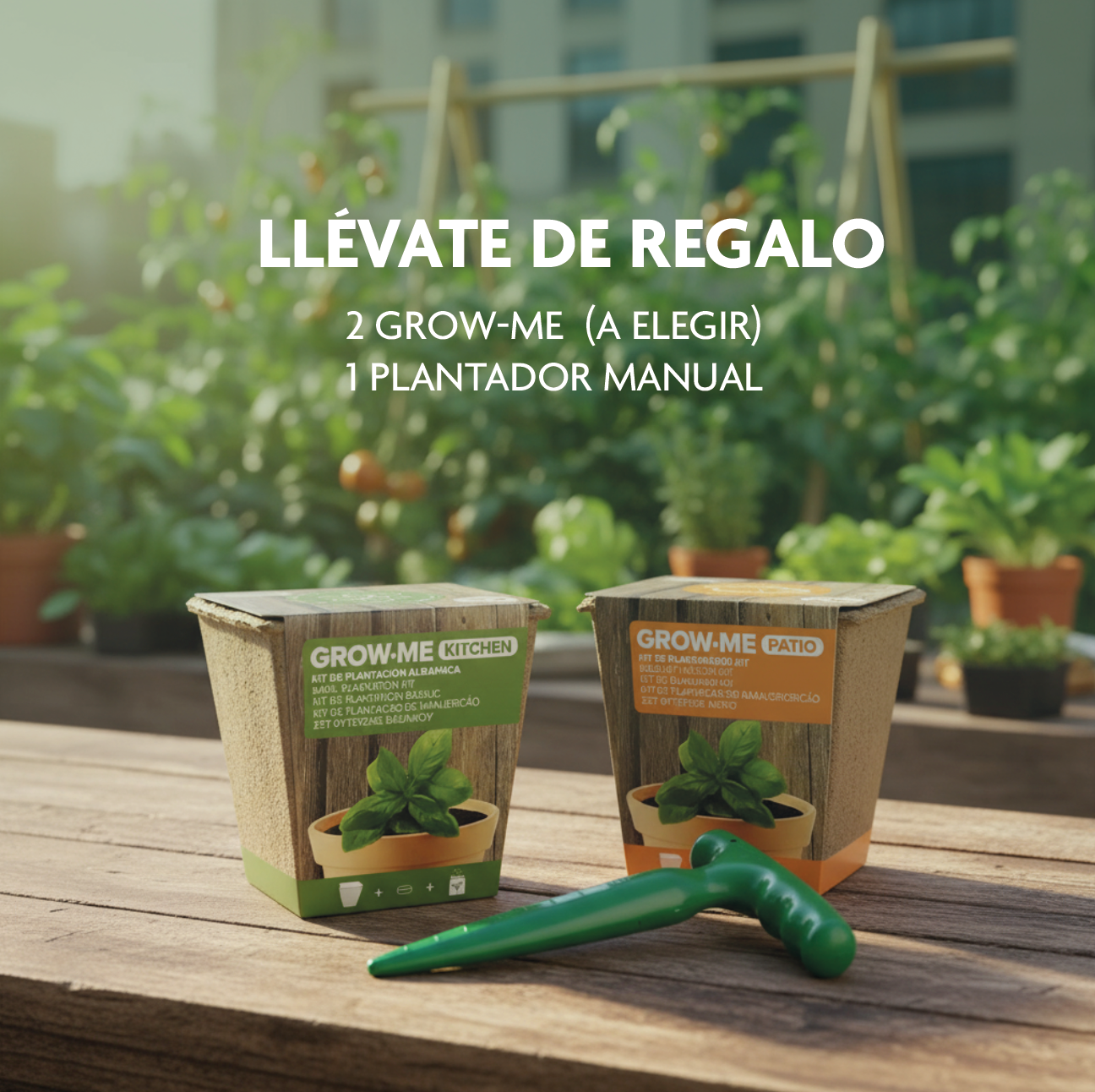 Pack - Inicia tu Huerto