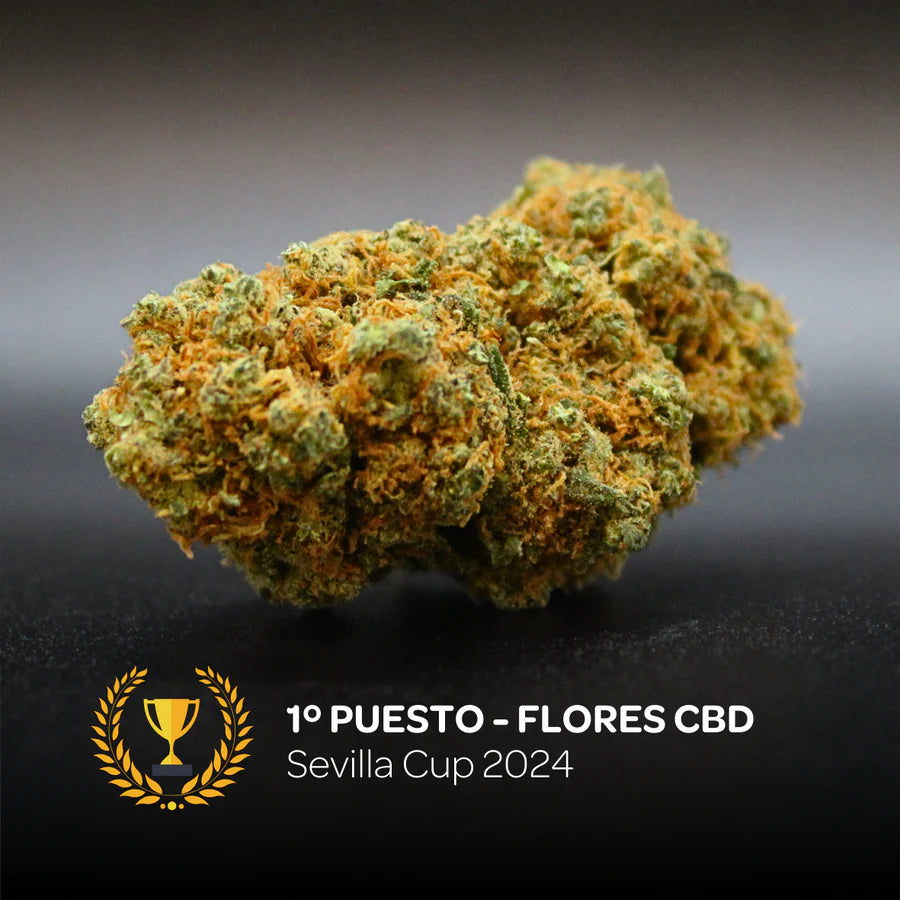 flor CBD cannabis INDOOR legal. sabor frutos rojos. relajación marihuana