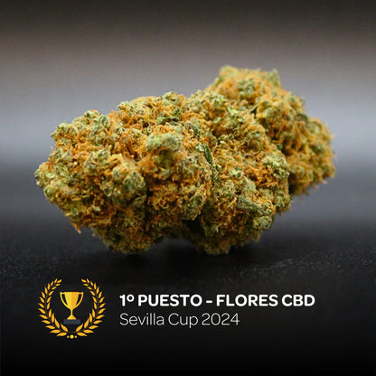 flor CBD cannabis INDOOR legal. sabor frutos rojos. relajación marihuana