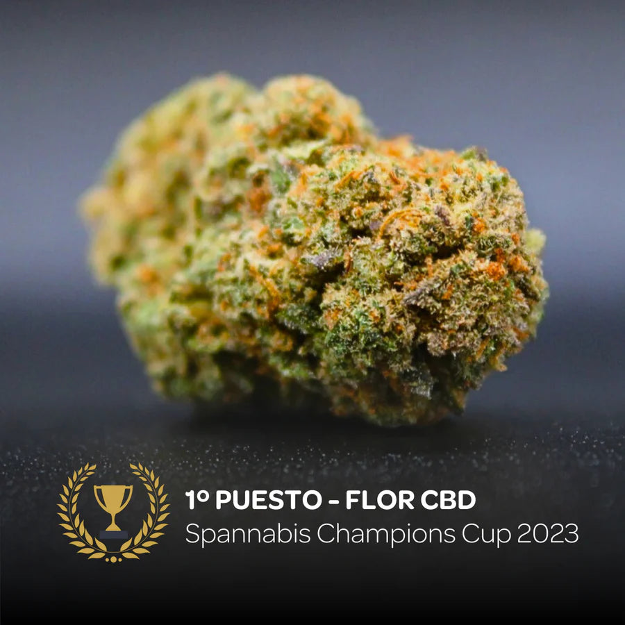 flor CBD cannabis INDOOR legal. sabor dulce. relajación marihuana
