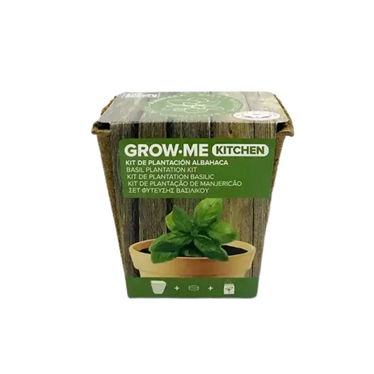 kit de cultivo albahaca Grow Me Kitchen maceta biodegradable