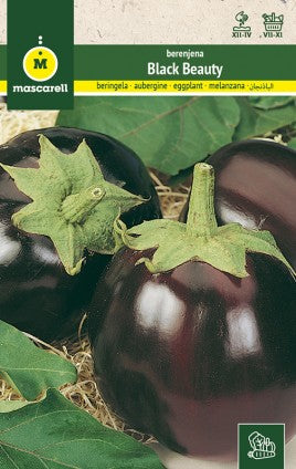 semillas berenjena