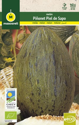 semillas melon piel de sapo