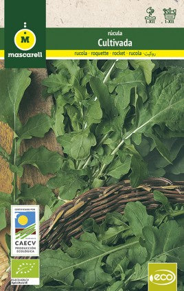 rucola semillas