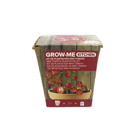kit de cultivo tomate cherry grow me maceta biodegradable